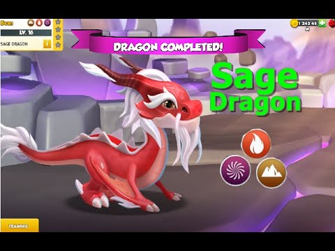 Sage Dragon-Dragon Mania Legends | Complete Sage Dragon | DML