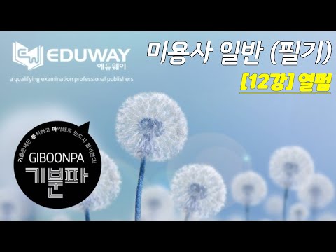 에듀웨이 기분파 헤어미용 필기 자격증 12강 (열펌)