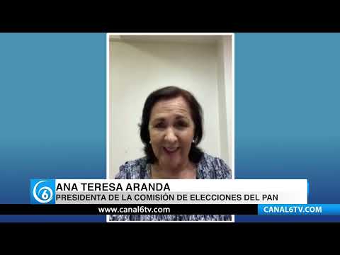 Perfiles | Ana Teresa Aranda, Presidenta de la Comisión de Elecciones del PAN