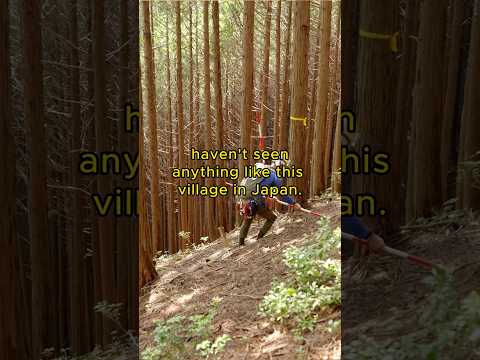 The busiest little rural village in Japan