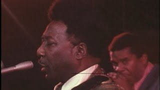 Muddy Waters - Mannish Boy - 1971 Oregon