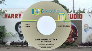 VICIOUS IRIE - Late Night Attack