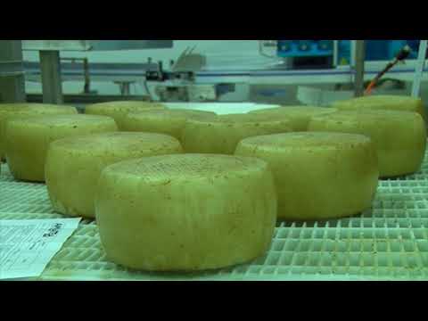 Produttori latte su vertenza ARAS 03 10 20