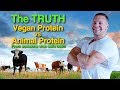 Vegan Protein Vs. Animal Protein - The TRUTH From Someone Who Sells Both!