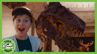 What Do Dino Bones Look Like?! 🦖 | T-Rex Ranch Dinosaur Videos for Kids