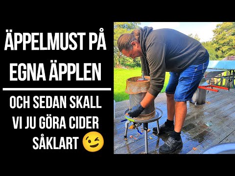 Mustning av äpplen till äppelcider