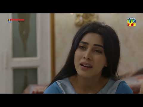 Tameezudin Neeli Ko Ghar Mein Kitna Hissa De Ga ? - Bebasi - HUM TV