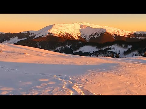 Muntele Albescu, o drumeție de neuitat prin Leota