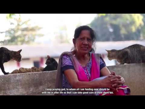 Meow | A documentary on the life of Mrs. Archana Sachendra Kadam |