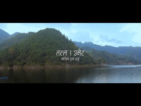 Taral- UMER (Official Video)