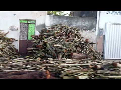 Águas Belas PE, ÁGUAS BELAS PE, #marulivingintheworld #Somostodospernambuco, PIX – 81-9-9701-1055.