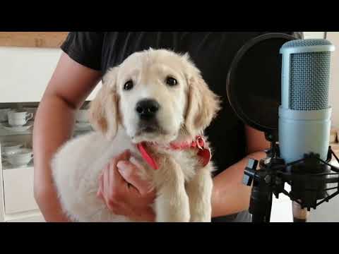 Czarek SHM - #Hot16Challange2 (prod. Jaca) feat. LuckyTheDogg