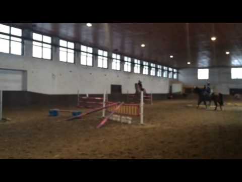 Jennin ja Reiskan Sannan valmennus