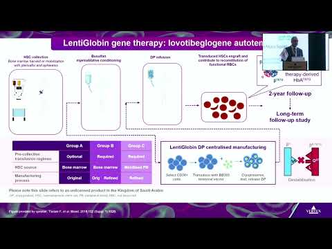 Gene Therapy: New Era in Haemoglobinopathies | Dr. Josu de la Fuente (16 Feb 2024)