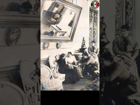 DOG HOUSE 🐕 | The Historical Truth by Ana González (Guadalajara) #mexico