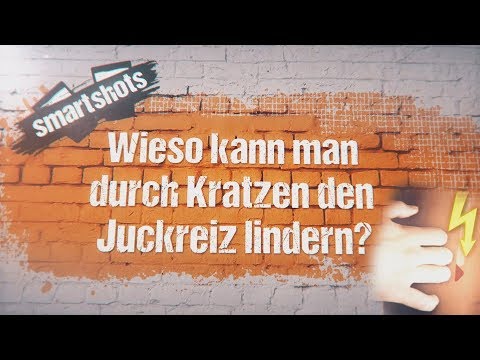 Warum hilft Kratzen gegen Jucken?| smartshots - die Wissenssnacks von tvision