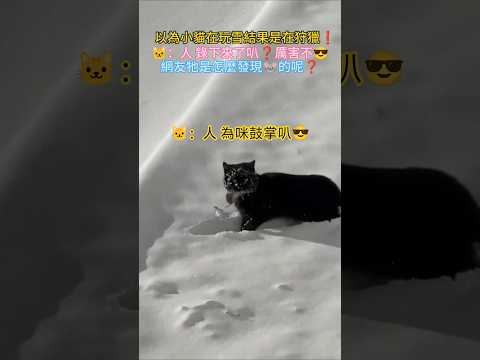 以為貓咪在玩雪 結果是在狩獵💥❗ 🐱：人 錄下來了嗎❓厲害不😎 網友：快！准！狠！但牠怎麼發現的呢❓ #cat #cute #shorts #mouse #catshorts