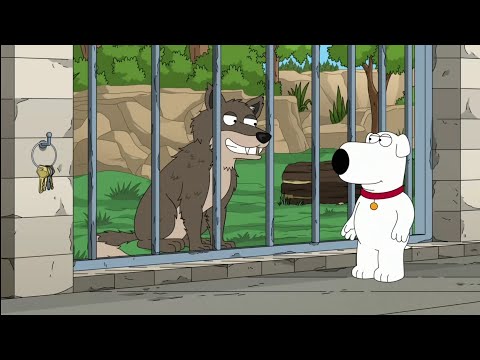Family Guy: Brian got scammed by some wolves.