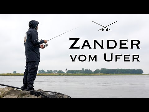 HOCHWASSER // Wo stehen die Zander? Angeln am Fluss