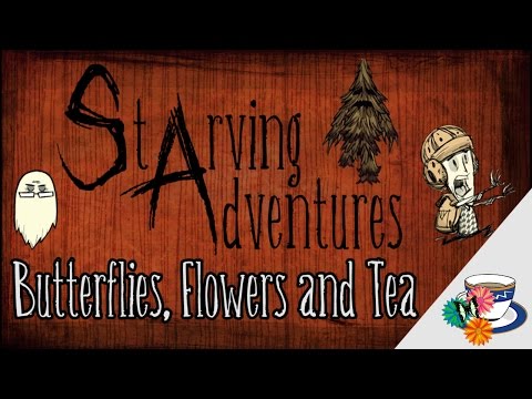 Butterfly Tea 101 (Don't Starve Together)