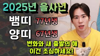 2025년 뱀띠 77년생 정사생, 양띠 67년생 정미생 신년운세! 용군TV 이화도령