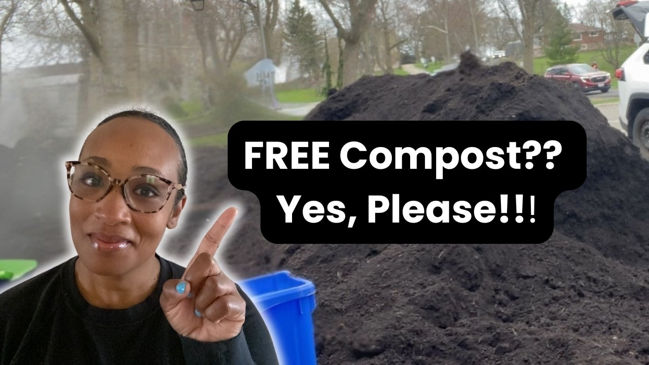 I Waited 2 Hours for FREE Compost – Was It Worth It?