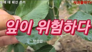 색깔이 위험 하다. 대발생 주의보