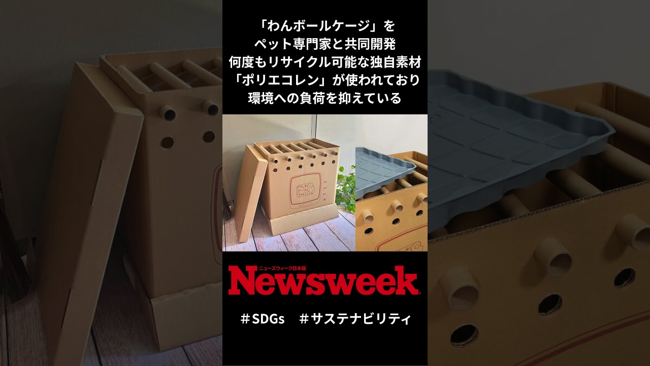 人もペットも安心...和光紙器の避難所用ペットケージ「わんボールケージ」 にみる環境負荷抑制へのこだわり #サステナビリティ #SDGs #日本企業 #shorts