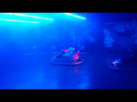 Botsauto vrijgezellen Steven Cleynen