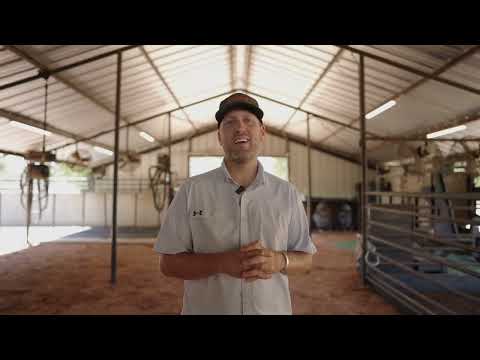 Arizona National: Barns - JG Cattle & Coaching