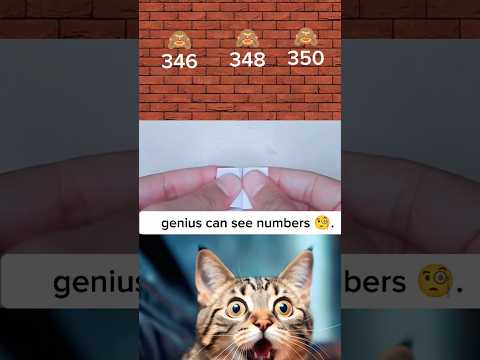 genius the number 😨#tiktok #memes #cat