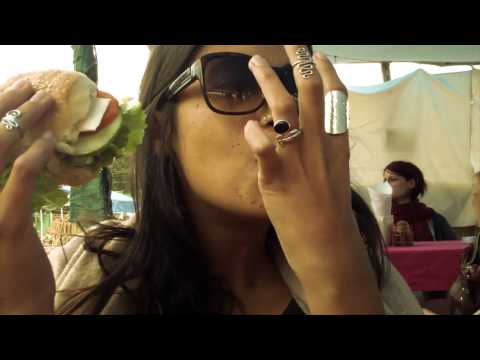 Wandering the Himalayas - The Muse