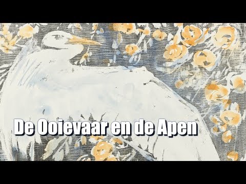 Vriendschap tussen Soorten: Het Hartverwarmende Verhaal van De Ooievaar en de Apen