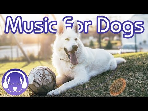 How to Relax Your Dog - 15 Hours of Deep Relaxation Music for Dogs! (2019!)