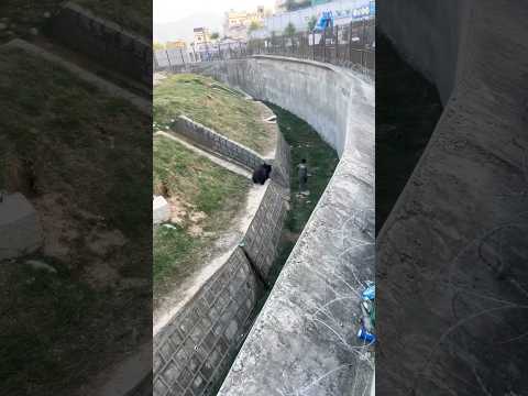 Соскакивает брат🤣