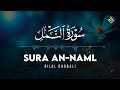 Bilal Darbali بلال دربالي Surah An Naml سوره النمل