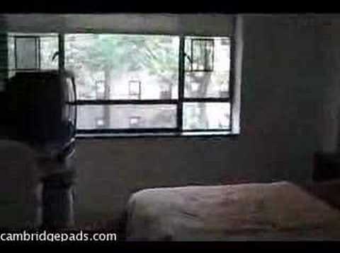 Boston, MA Real Estate- Lovely Cambridge Abode