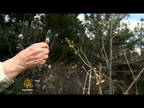 Globalne klimatske promjene sve očitije - Al Jazeera Balkans