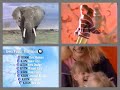 PTV Park Program Break 1999 IPTV 14 Incomplete