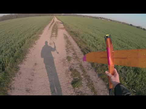 Caracara - RC Glider / Motor glider 3D printed