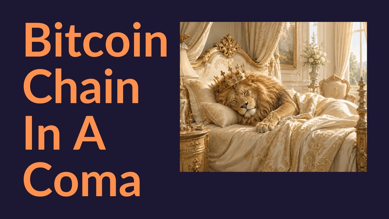 Bitcoin Chain In A Coma (Not Dead)