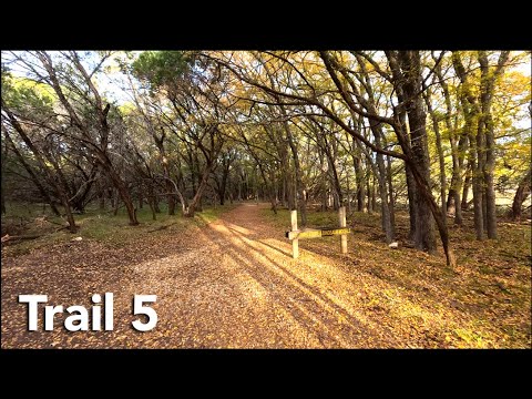 Monarch Trail Video Thumbnail
