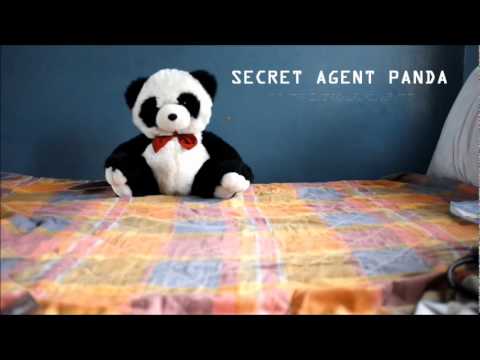 Secret Agent Panda