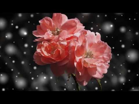 Cornelia Andreika – Din cea mai fragedă vârstă