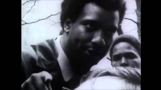 Fred Hampton I am a Revolutionary