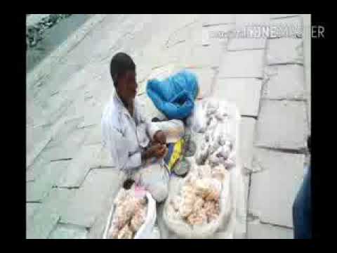 Alexander beach vlog:1