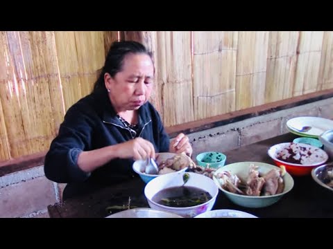 Qaib Thaib Teb Qab Tshaj Plaws