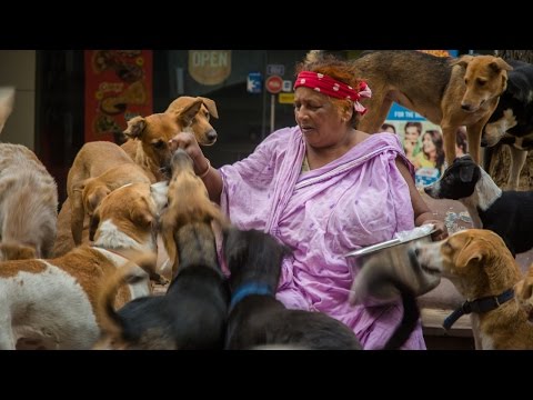 Puppy Love: The 'Dog Lady Of New Delhi’ Cares For 400 Strays