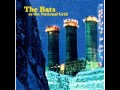 The Bats - Up to the Sky