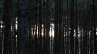 Alio Die: Sine Tempore Part II